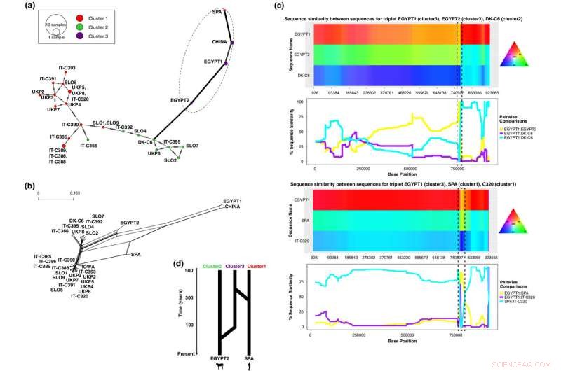 Globalization May Fuel Virulence in Human Parasites: New Genomic Insights
