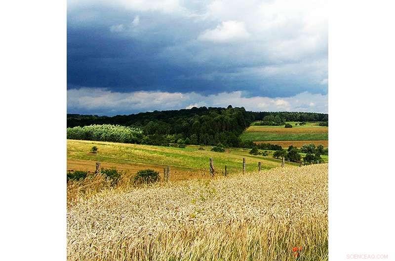 EU Agriculture: Six Core Principles to Stop Biodiversity Loss