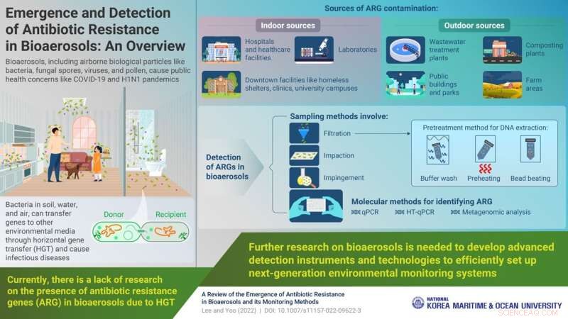 Investigating Antibiotic Resistance in Bioaerosols: Sources, Detection, and Future Directions
