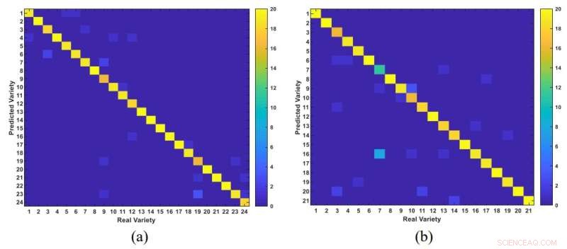 New NIRS Algorithm Enhances Crop Variety Authentication