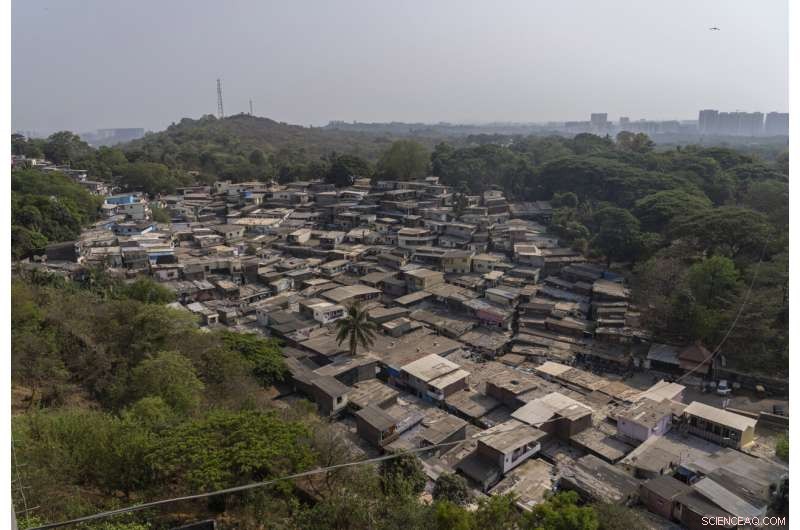 Urban Wilds: Mountain Lions of LA and Leopards of Mumbai