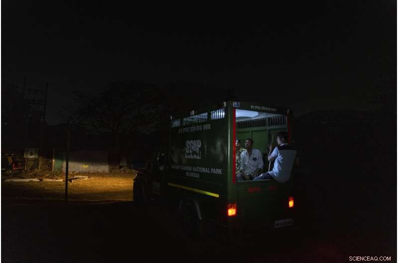 Urban Wilds: Mountain Lions of LA and Leopards of Mumbai