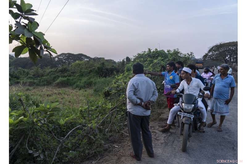 Urban Wilds: Mountain Lions of LA and Leopards of Mumbai