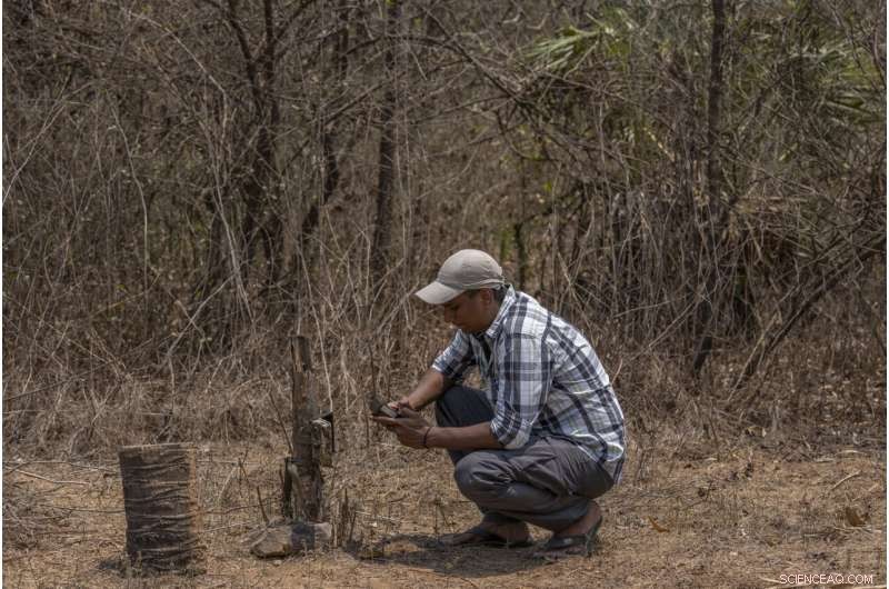 Urban Wilds: Mountain Lions of LA and Leopards of Mumbai