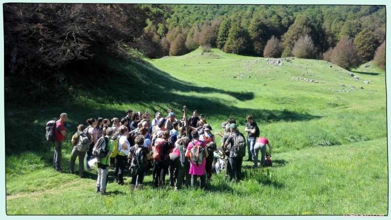 Comparing Two Italian Bio‑Geographical Regions Reveals Divergent Ecotourism Perceptions