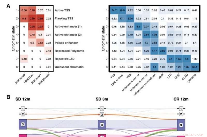 Age-Related Drift of Histone H3 Modifications in Mouse Liver