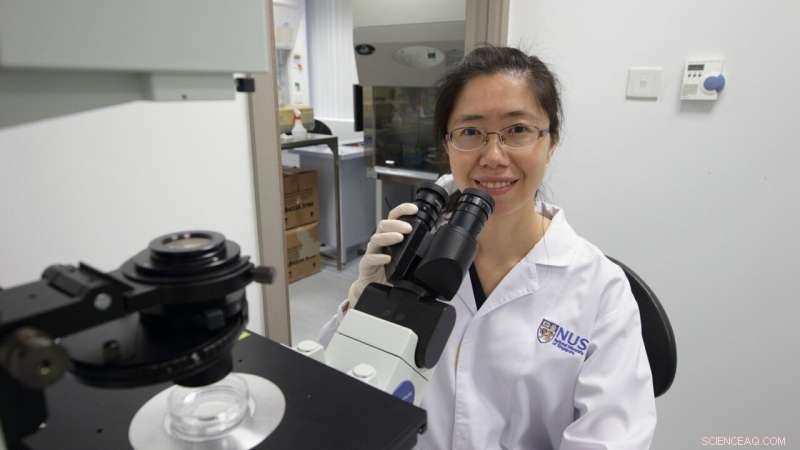 New Study Reveals How Maternal Genes Influence Children s Genetic Disorders