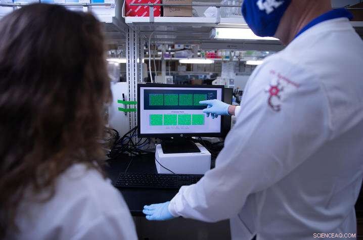 University of Kentucky Launches Online Portal Demonstrating How RNA Sequence Biases Modulate Gene Expression