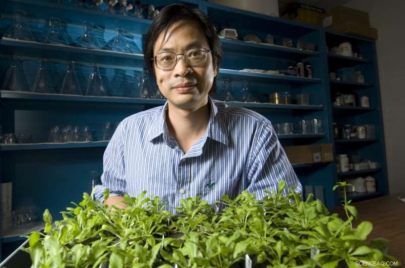 Climate Change Weakens Plant Disease Defenses – New Research Offers Solutions