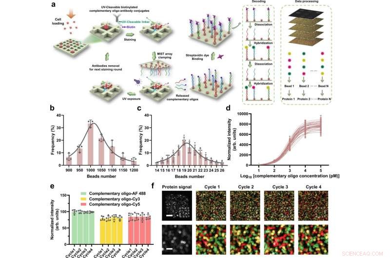 Revolutionary CycMIST Technology Accelerates Functional Protein Analysis for Drug Discovery
