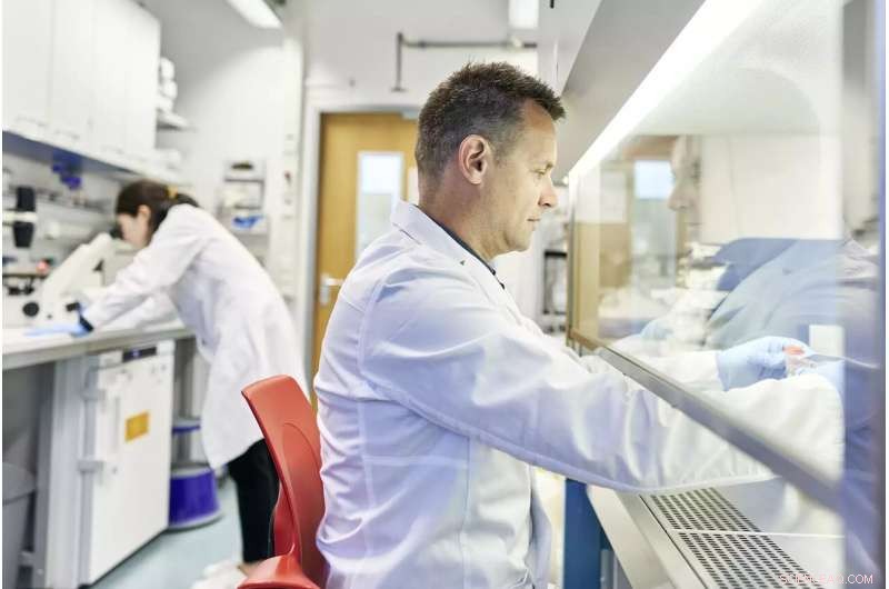 How a Bacterial Enzyme Fueled Longhorned Beetle Evolution