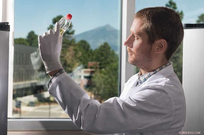 US Researchers Trace Origins of Snake Fungal Disease, Advancing Conservation Efforts