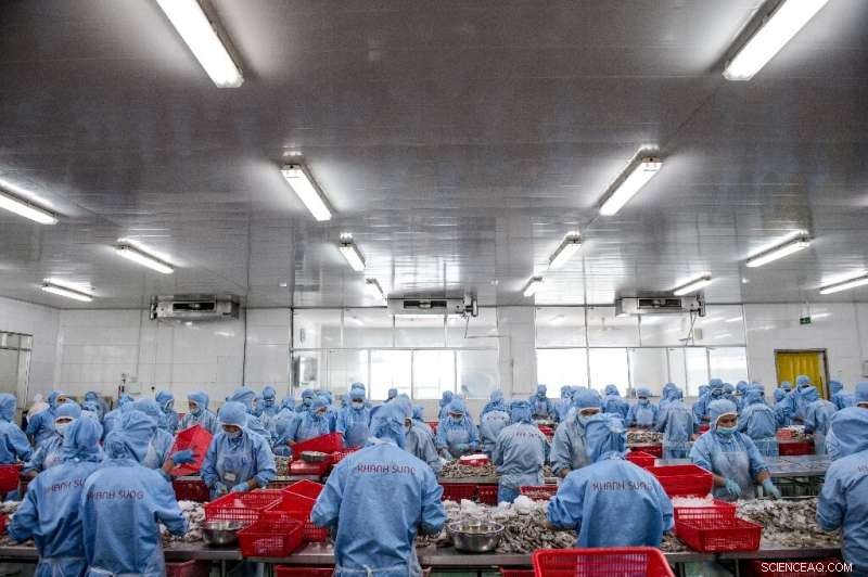 Aquaculture Surges, Boosting Global Aquatic Food Production to Record Levels