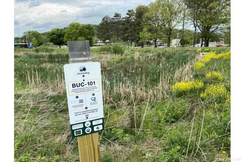 Snap, Share, Save: Binghamton’s Citizen Science Wetland Project