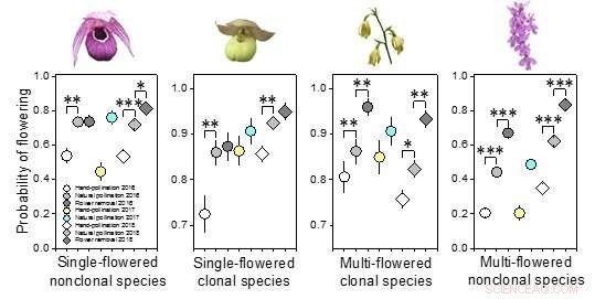 Trade-Offs Between Current and Future Reproduction in Coexisting Plant Species: A Multi-Year Experimental Study