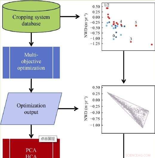 Revolutionizing Crop Systems: Sustainable Diversification for Global Food Security