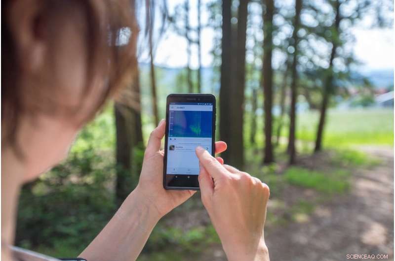 BirdNET App: Harnessing Sound to Identify 3,000+ Bird Species and Empower Citizen Science