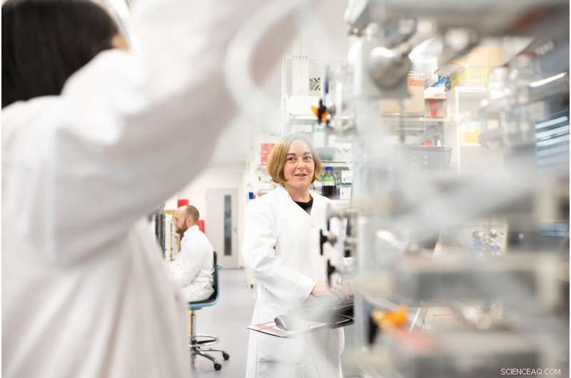 How Human Microbiota Thrive: Molecular Insights into Gut Bacteria Success