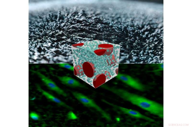 Innovative Smart Materials Enable Precise Cellular Behavior Studies