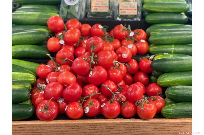 Assessing Public Trust in Gene‑Edited Foods: Insights from a Recent Study