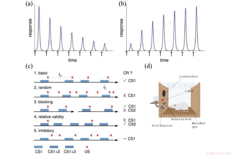 New Learning Theory Unites Cognitive Psychology and Systems Biology