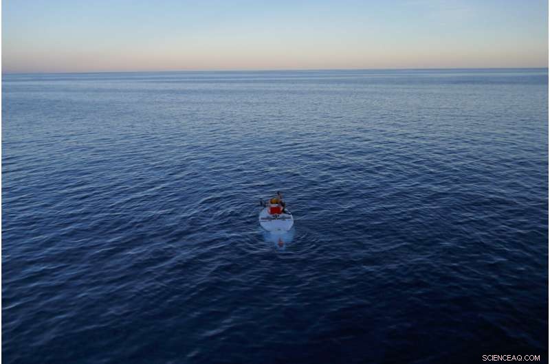 New Virus Discovery Sheds Light on the Origins of Complex Life