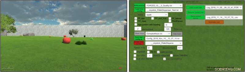 Innovative Touch‑Screen App Advances Chimpanzee Navigation Research
