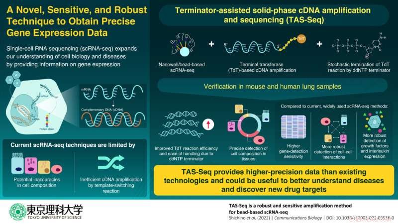 Breakthrough Nanowell‑Magnetic Bead scRNA‑seq Sets New Standard