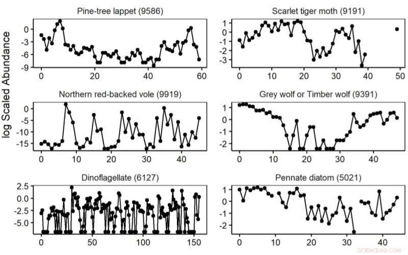 New Research Reveals Ecological Systems Experience Chaos Far More Frequently Than Expected