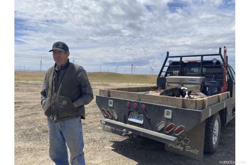 Mormon Cricket Swarms Prompt Oregon’s Pest‑Control Push