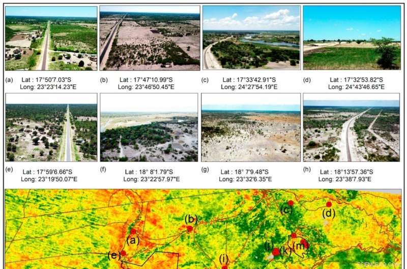 Declining Vegetation Threatens Elephant Migration Corridors in Namibia