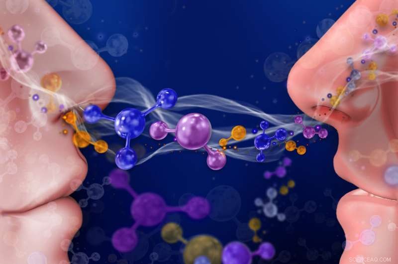 New Study Finds People Choose Friends Based on Similar Body Odor