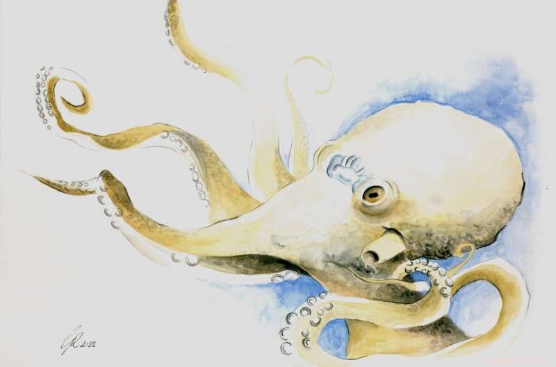 Octopus and Human Brains Share Identical  Jumping Genes , Revealing Deep Evolutionary Links