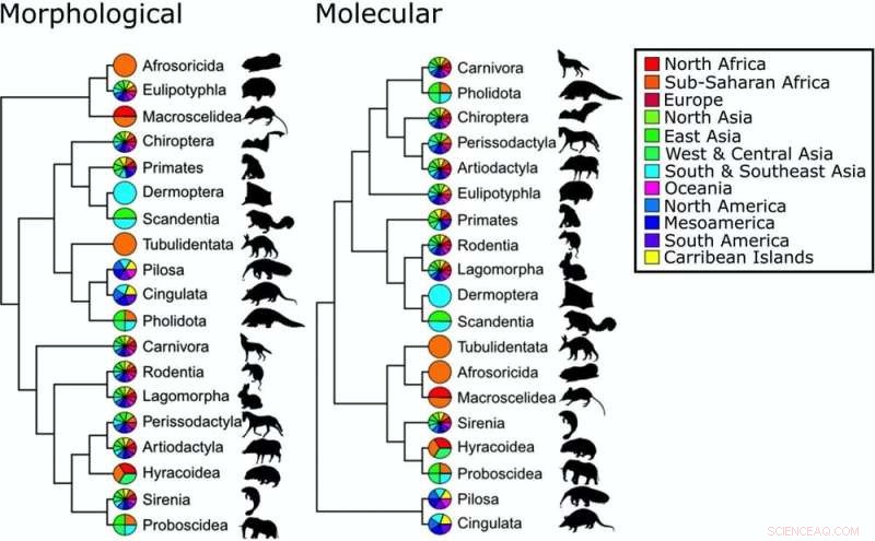 New Insights into the Tree of Life: How Modern Science Corrects Long-Standing Misconceptions
