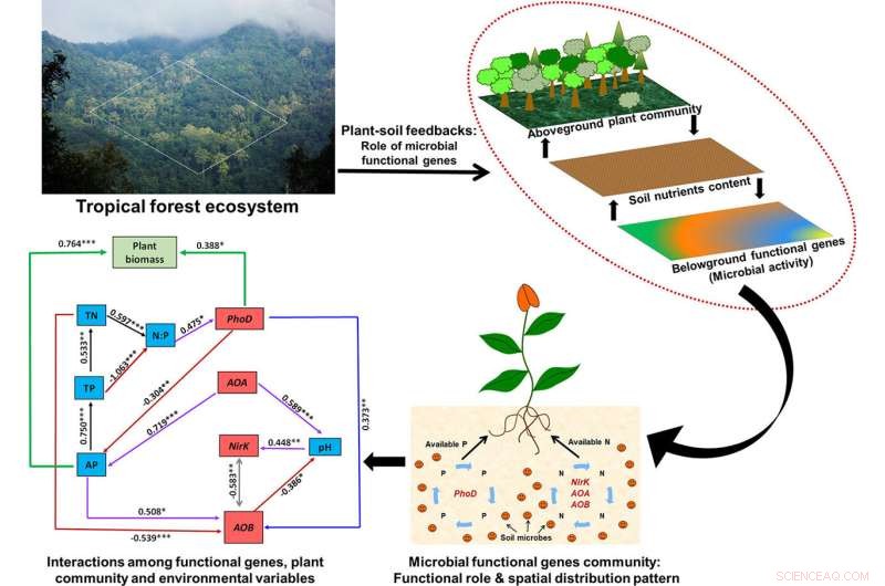 Soil Microbes Are Strategically Recruited to Meet Ecosystem Nutrient Demands