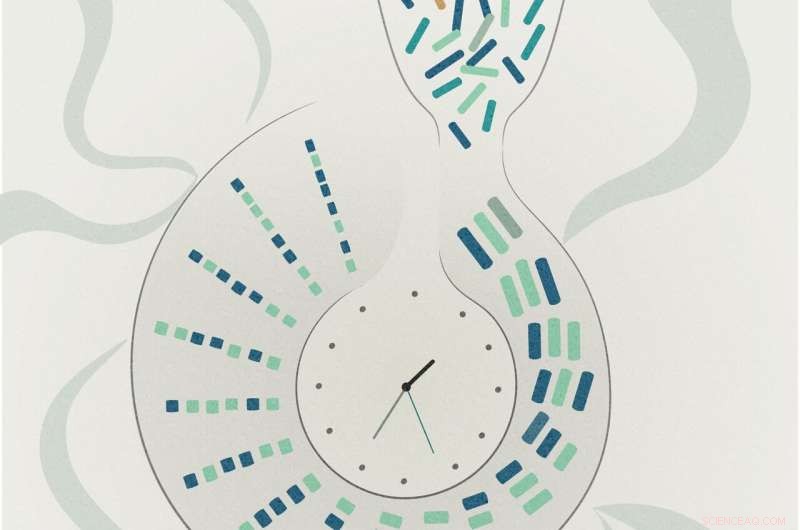 Human Genomes Revealed: How Historical Bottlenecks Shaped Our DNA
