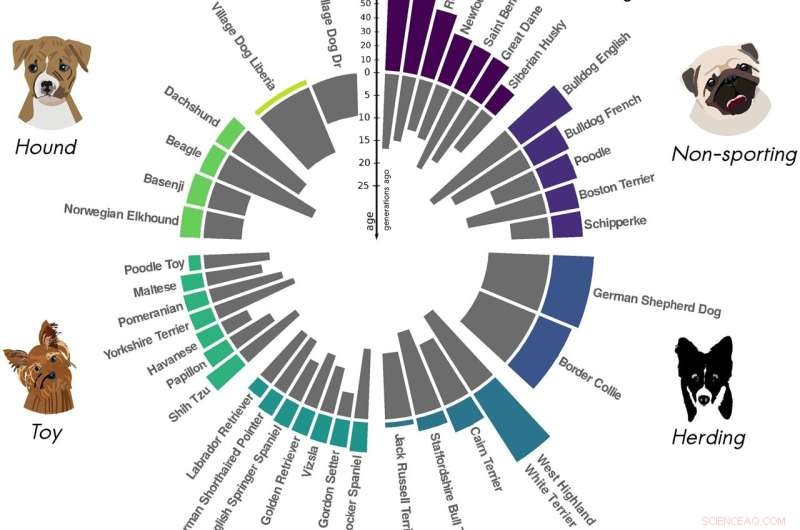 Human Genomes Revealed: How Historical Bottlenecks Shaped Our DNA