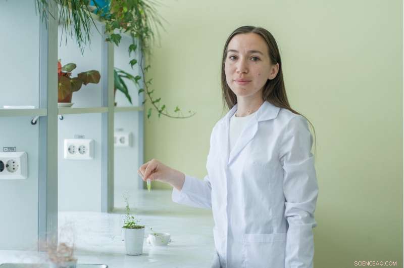 Restoring Contaminated Soil: Flowers & Tobacco Thrive on Copper‑Heavy Grounds