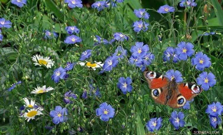 Regenesis: Pioneering Sustainable Food Production for a Healthier Future