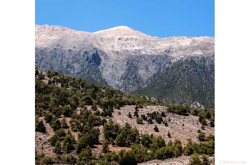 Decades of Mountain Climate Change Fail to Shift Tree Lines