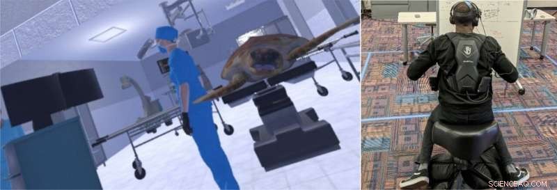 Virtual Reality Delivers a Turtles‑Eye View of Wildlife, Inspiring Conservation Action