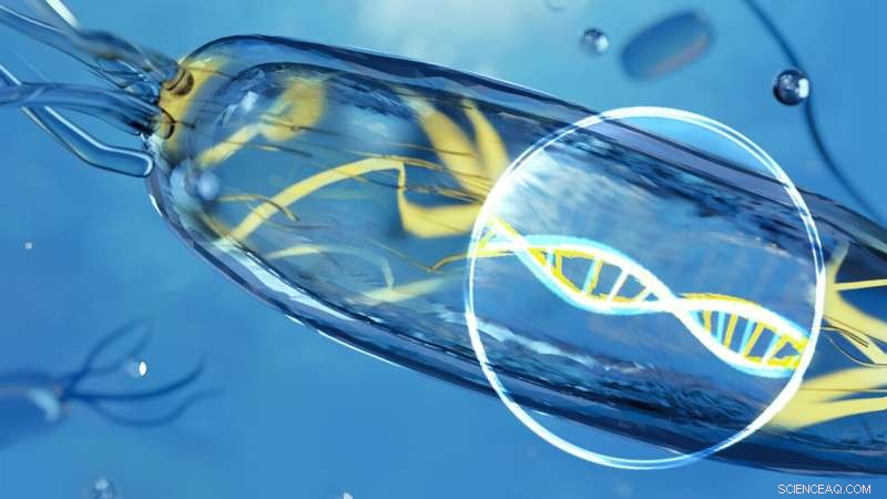 Exploring Marine Bacteria: A New Frontier for Natural Product Discovery