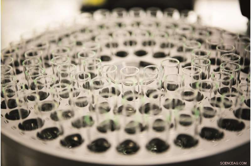 Could a Tolerant Approach to Resistant Bacteria Save Lives?