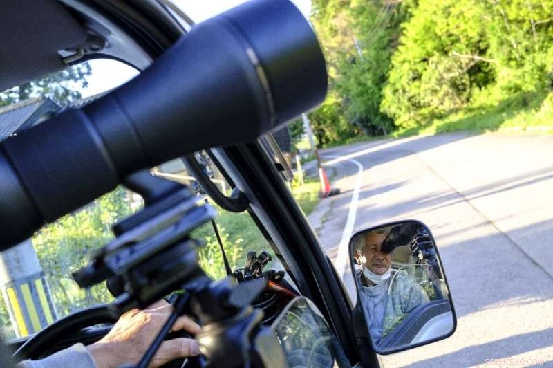 Phoenix Reborn: Japan’s Triumph in Restoring a Vanished Bird