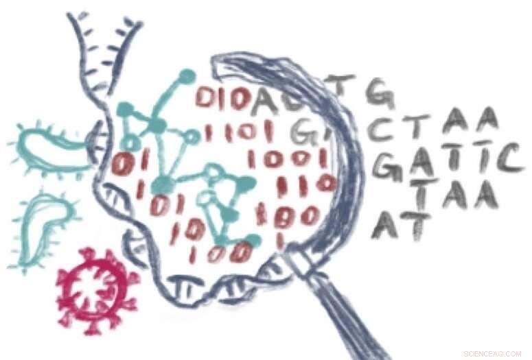 SeqScreen: Open-Source Tool Detects Synthetic and Natural Gene Sequences for Safety Assessment
