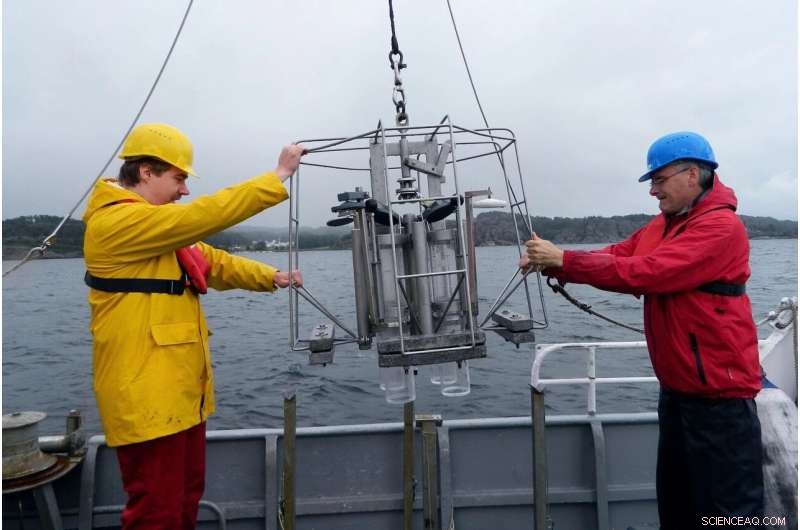 Cretaceous Metabolism: Key Driver of Modern Global Nutrient Cycles