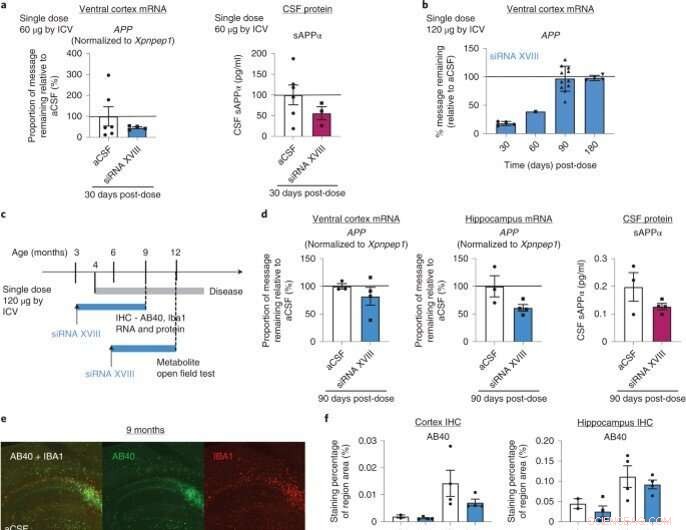 Optimizing siRNA Design for CNS Delivery: From Lab Innovation to Clinical Application