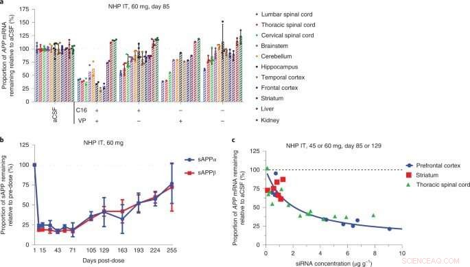 Optimizing siRNA Design for CNS Delivery: From Lab Innovation to Clinical Application
