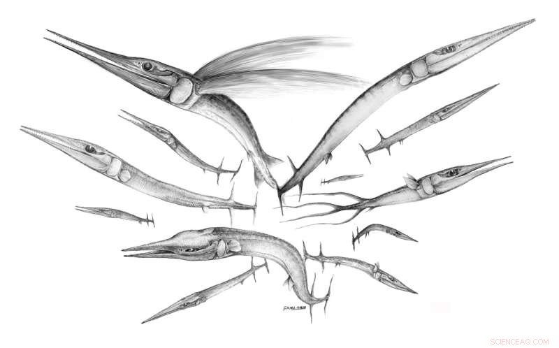 Triassic Revolution: Rapid and Intelligent Recovery of Marine Life Post-Mass Extinction