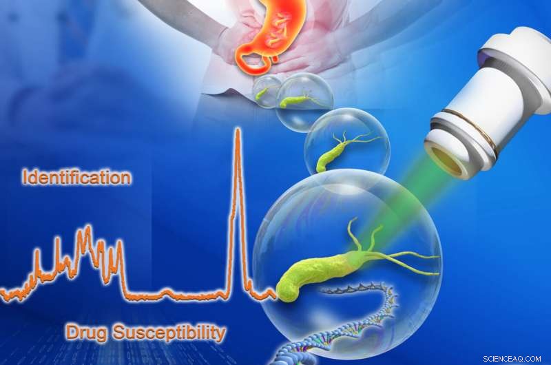New Diagnostic Tool Promises Faster, More Accurate Detection of Cancer-Linked Stomach Bacteria